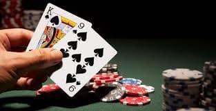 toto800 Finding Live Roulette Wheel
